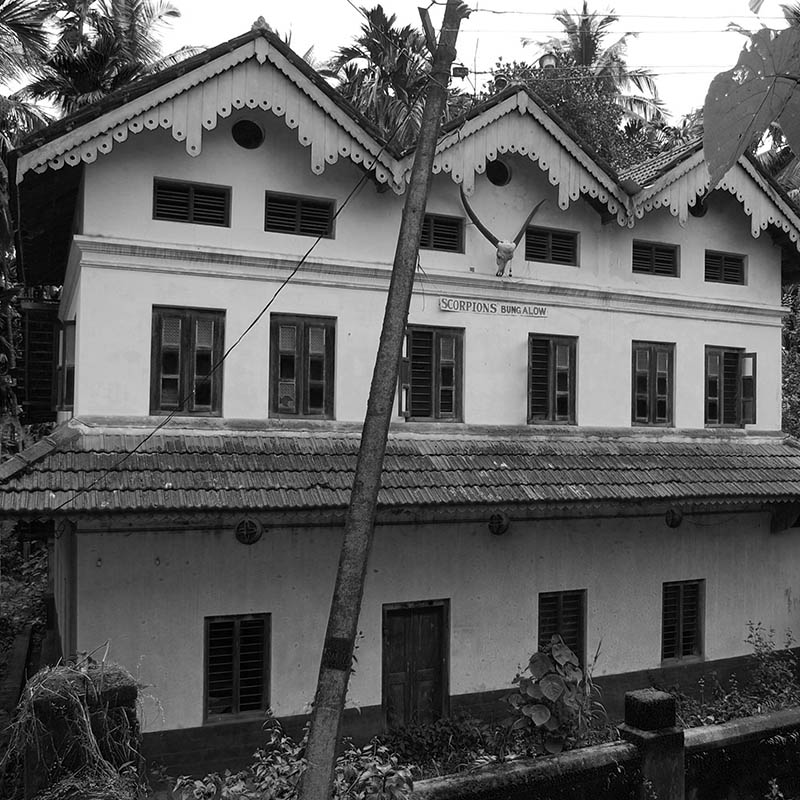 bungalow